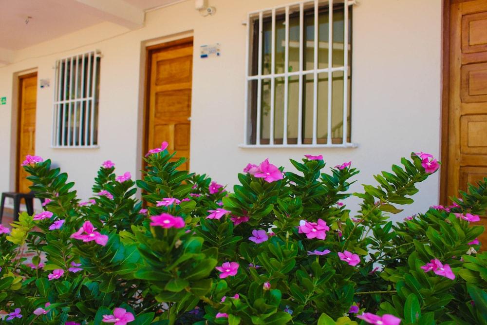 Hotel Dorado Plaza Punta Arena Playa de Punta Arena 외부 사진
